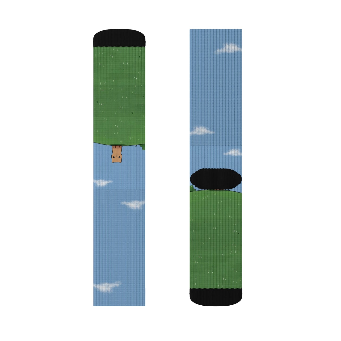 Novelty Socks for the Solitary Feline