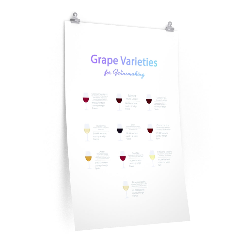 Decorate Your Room with a Poster Featuring Grape Types for Wine Production