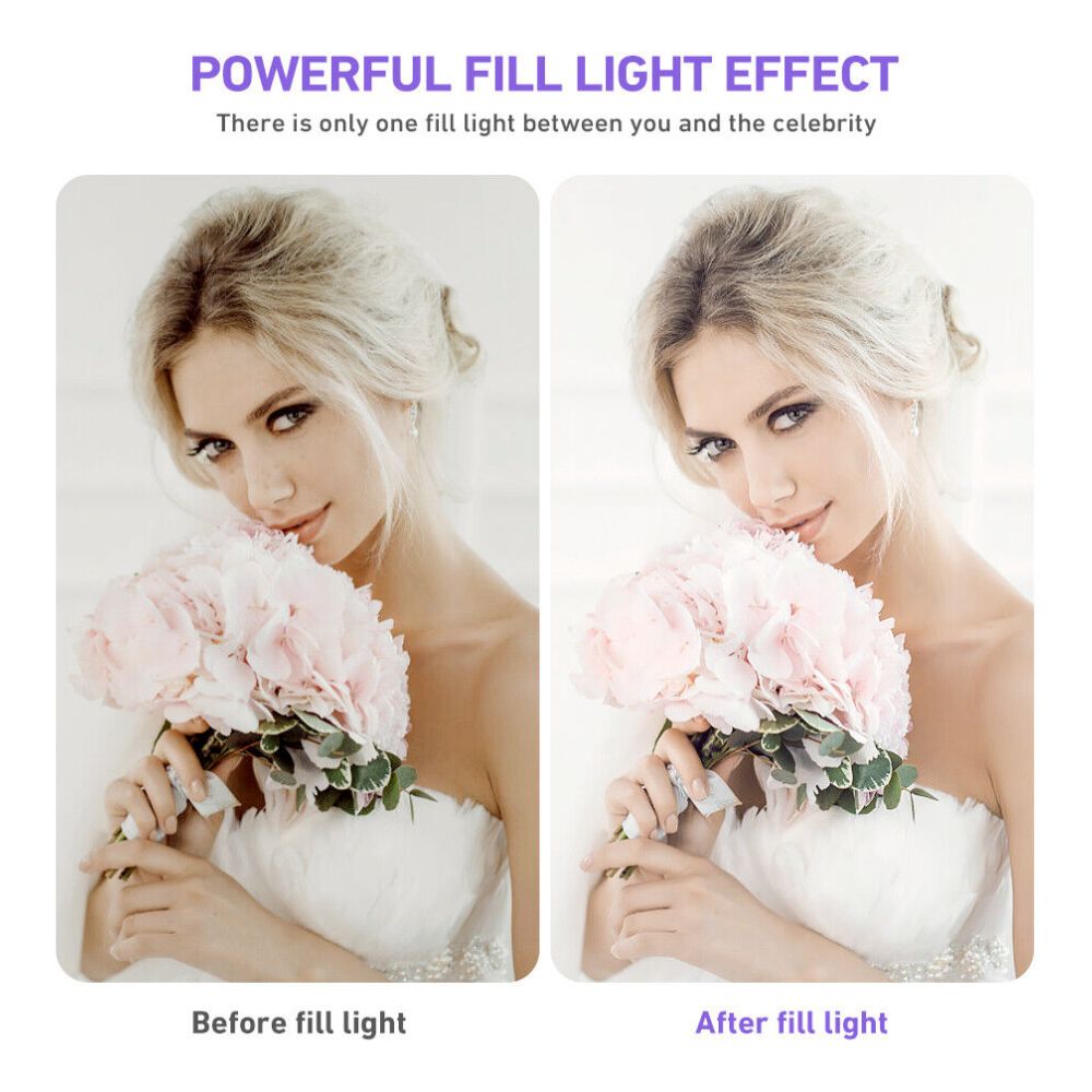 10" Tripod Stand Kit with LED Ring Light