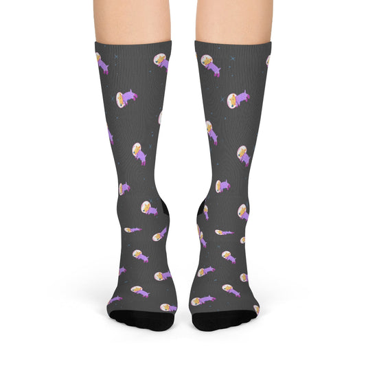 Space Adventure Dog Fun Socks