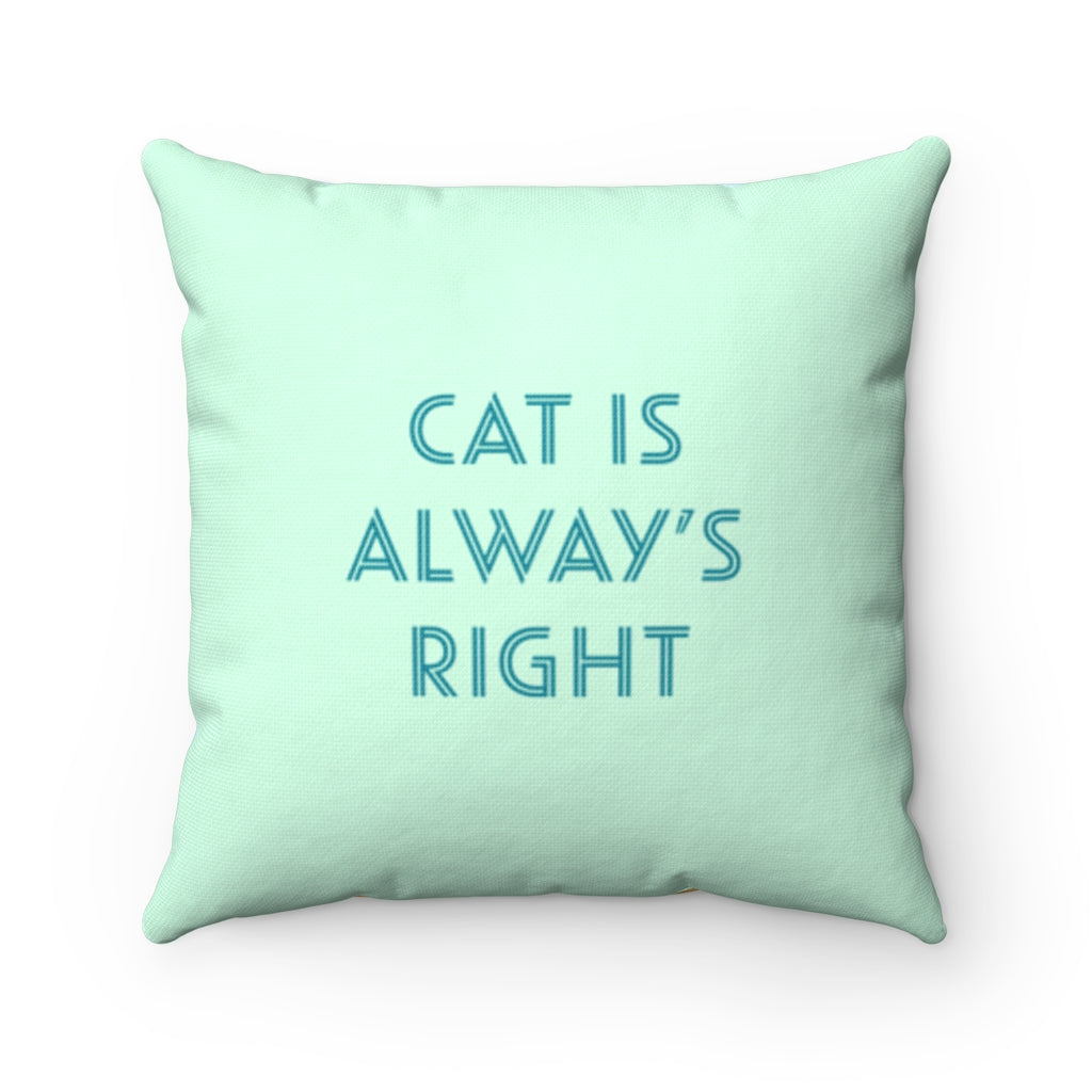 The Feline Supremacy Square Pillow - Available in 4 Sizes