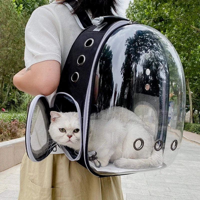 Transparent Pet Carrier with Breathable Design
