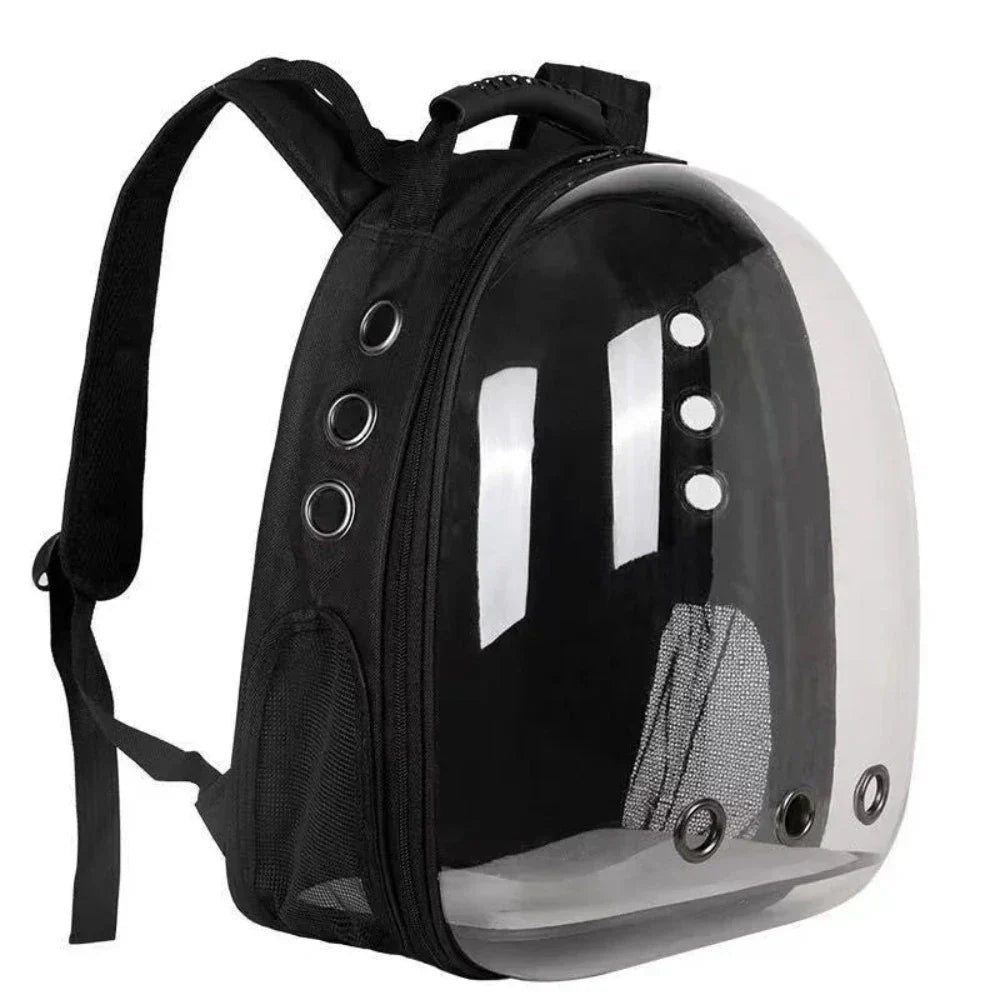 Transparent Cat Carrier with Enhanced Airflow