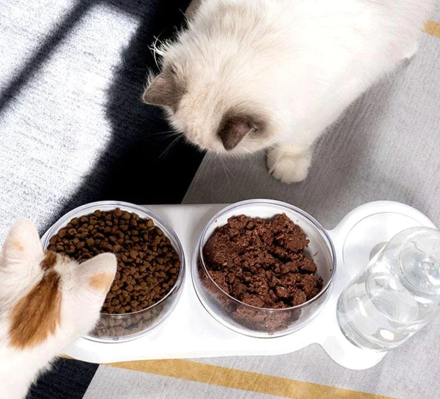 Automatic Tilted Pet Bowl Collection