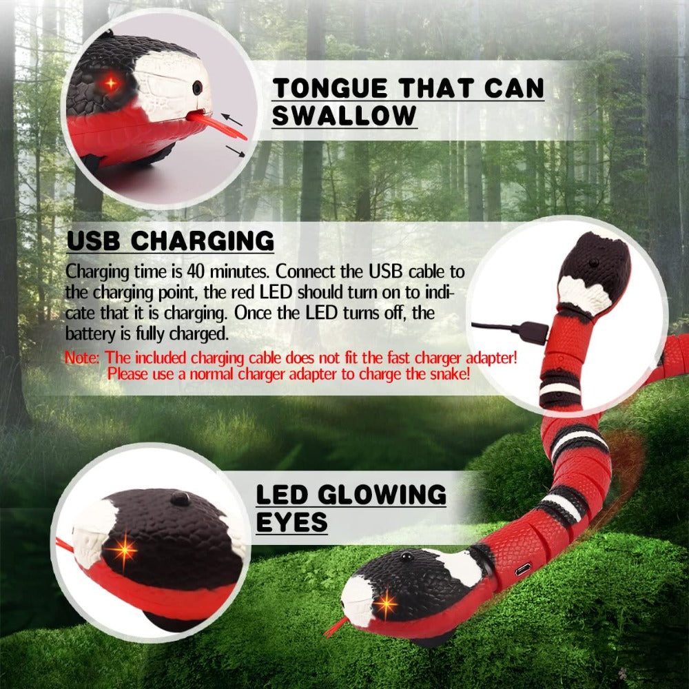 Snake Cat Toy - Electronic Entertainment for Feline Companions
