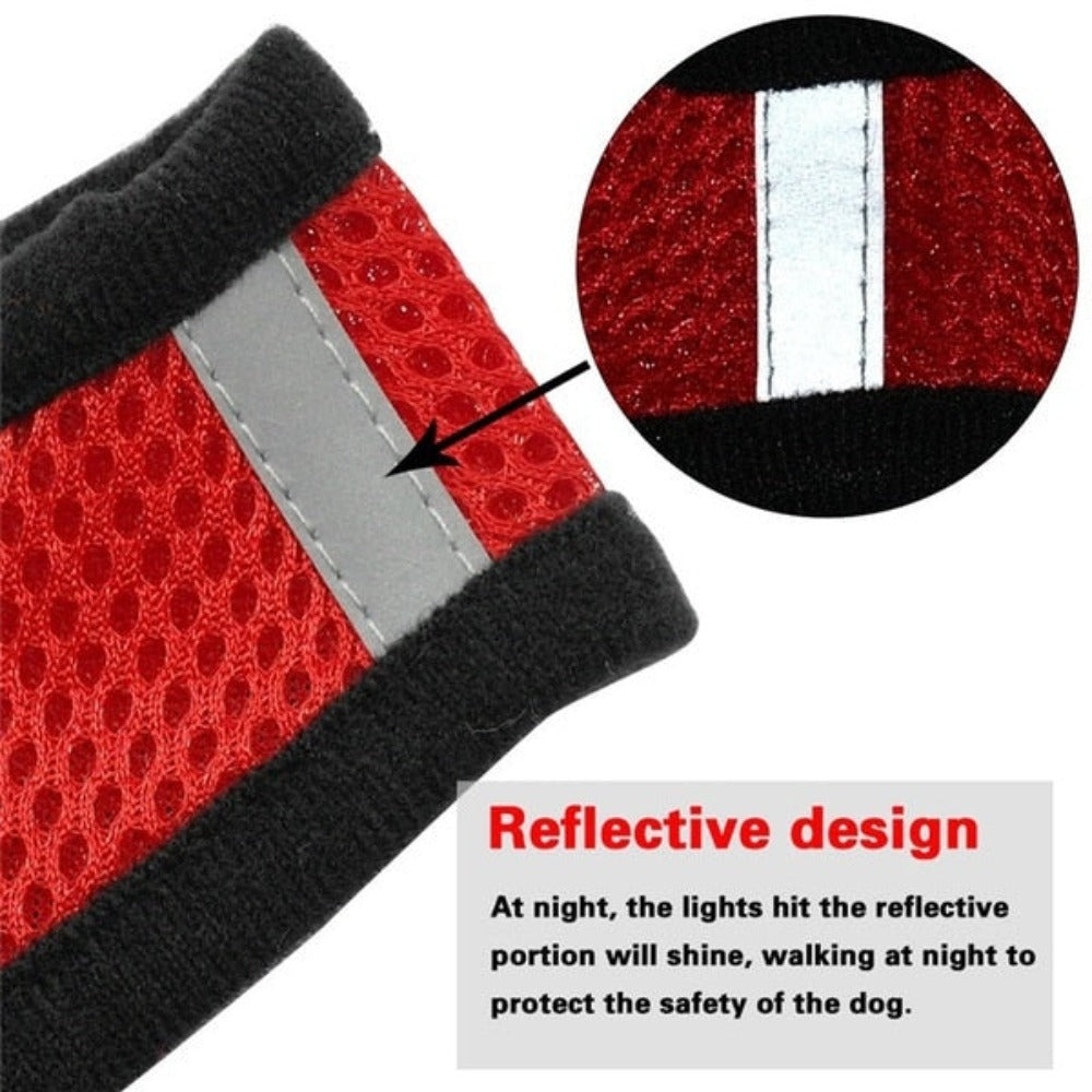 Adjustable Pet Harness with Leash: Ensuring Comfort and Control for Your Furry Friend