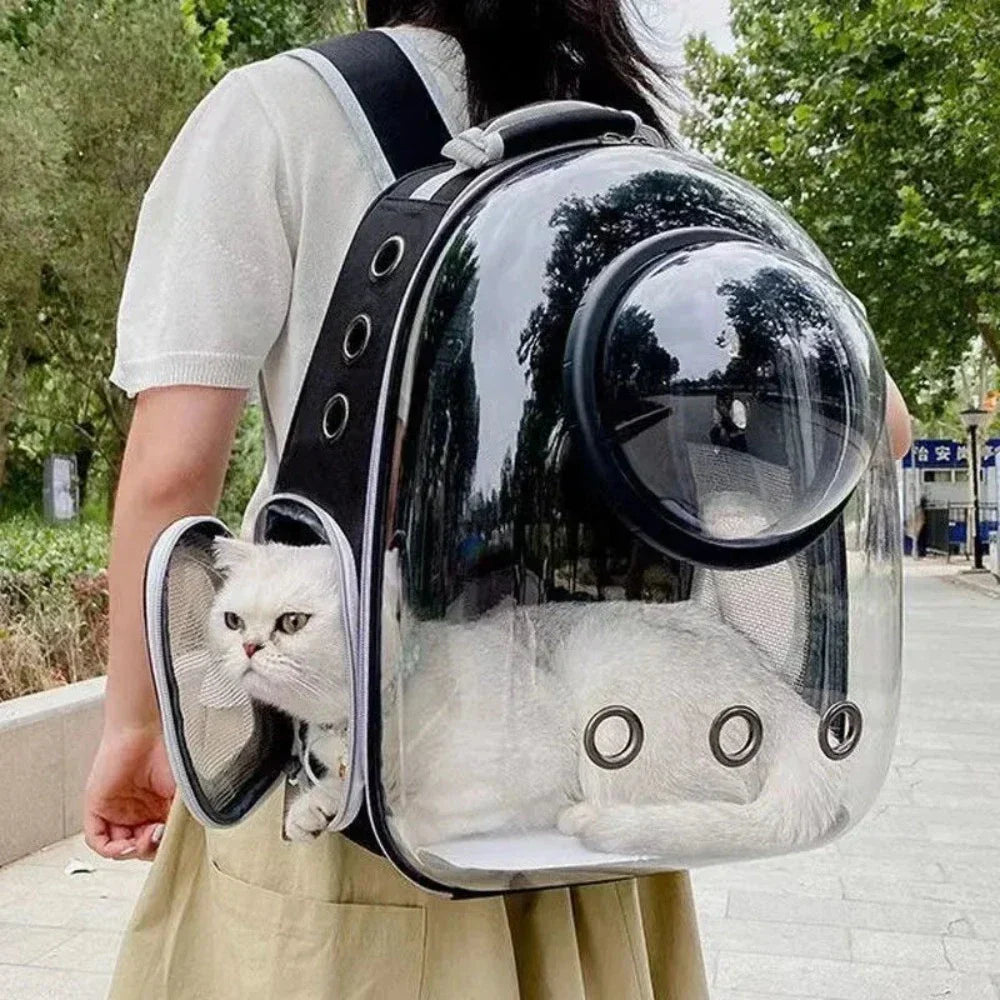 Transparent Pet Carrier with Breathable Design