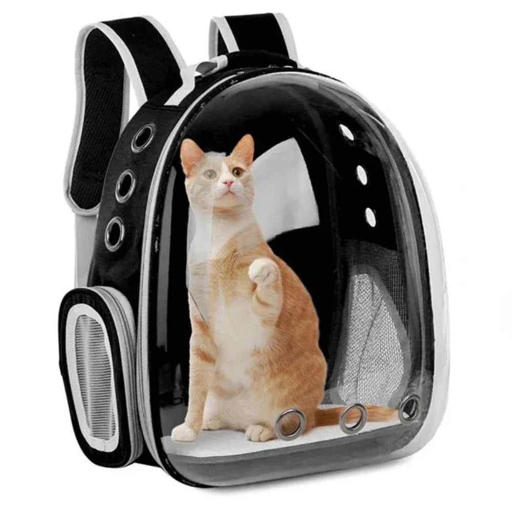 Transparent Pet Carrier with Breathable Design