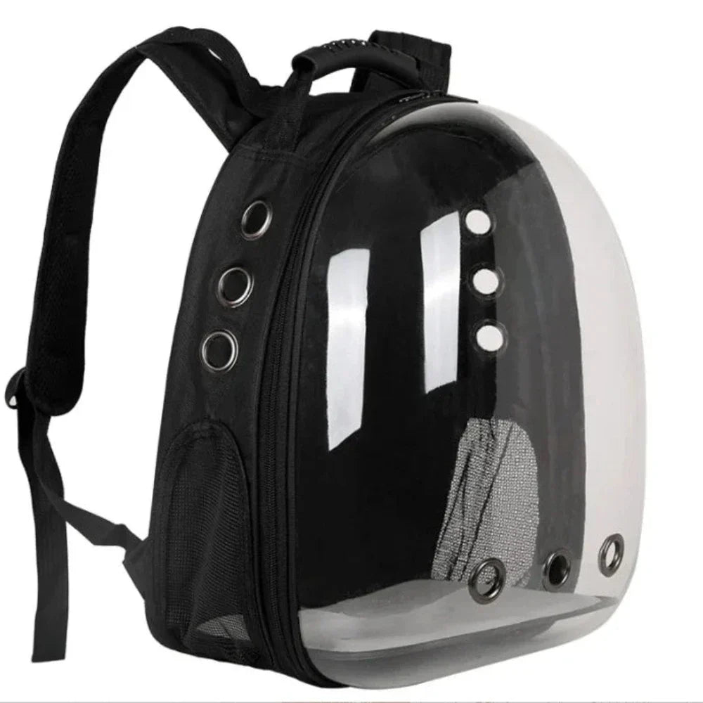 Transparent Cat Carrier with Enhanced Airflow