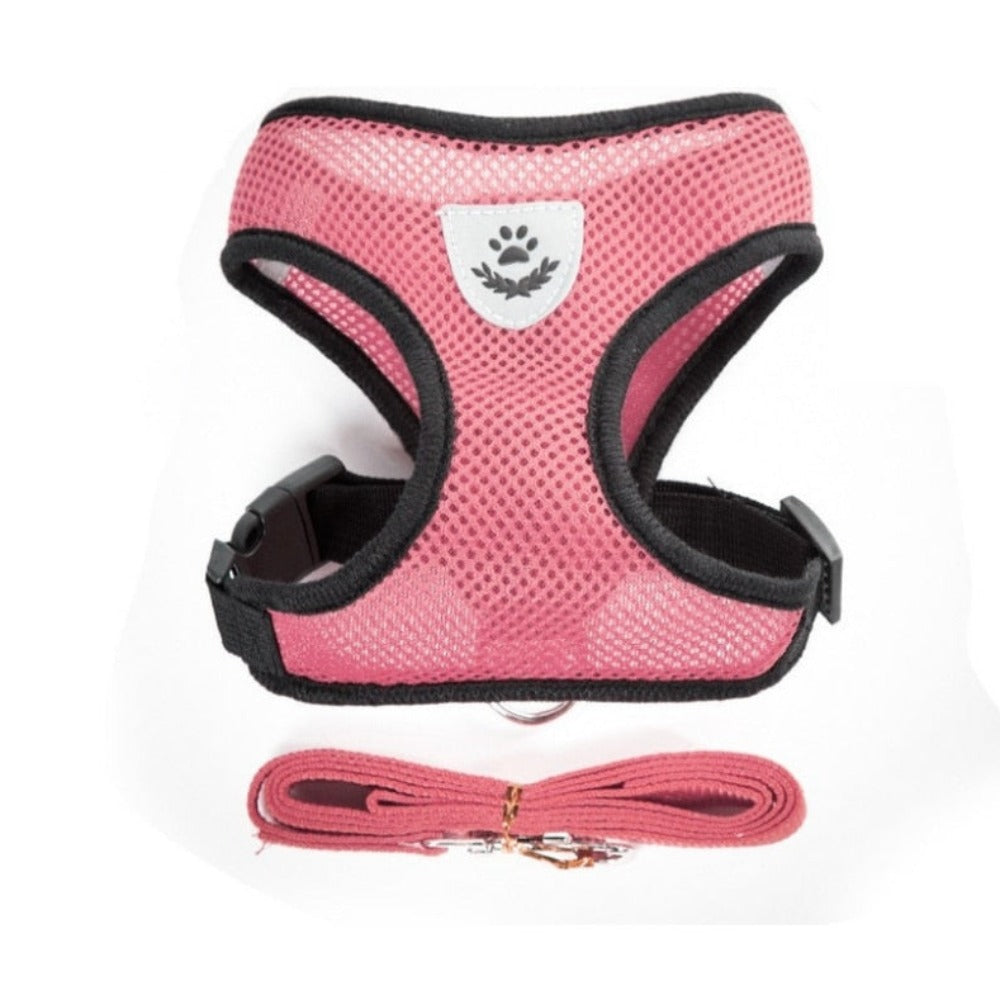 Adjustable Pet Harness with Leash: Ensuring Comfort and Control for Your Furry Friend