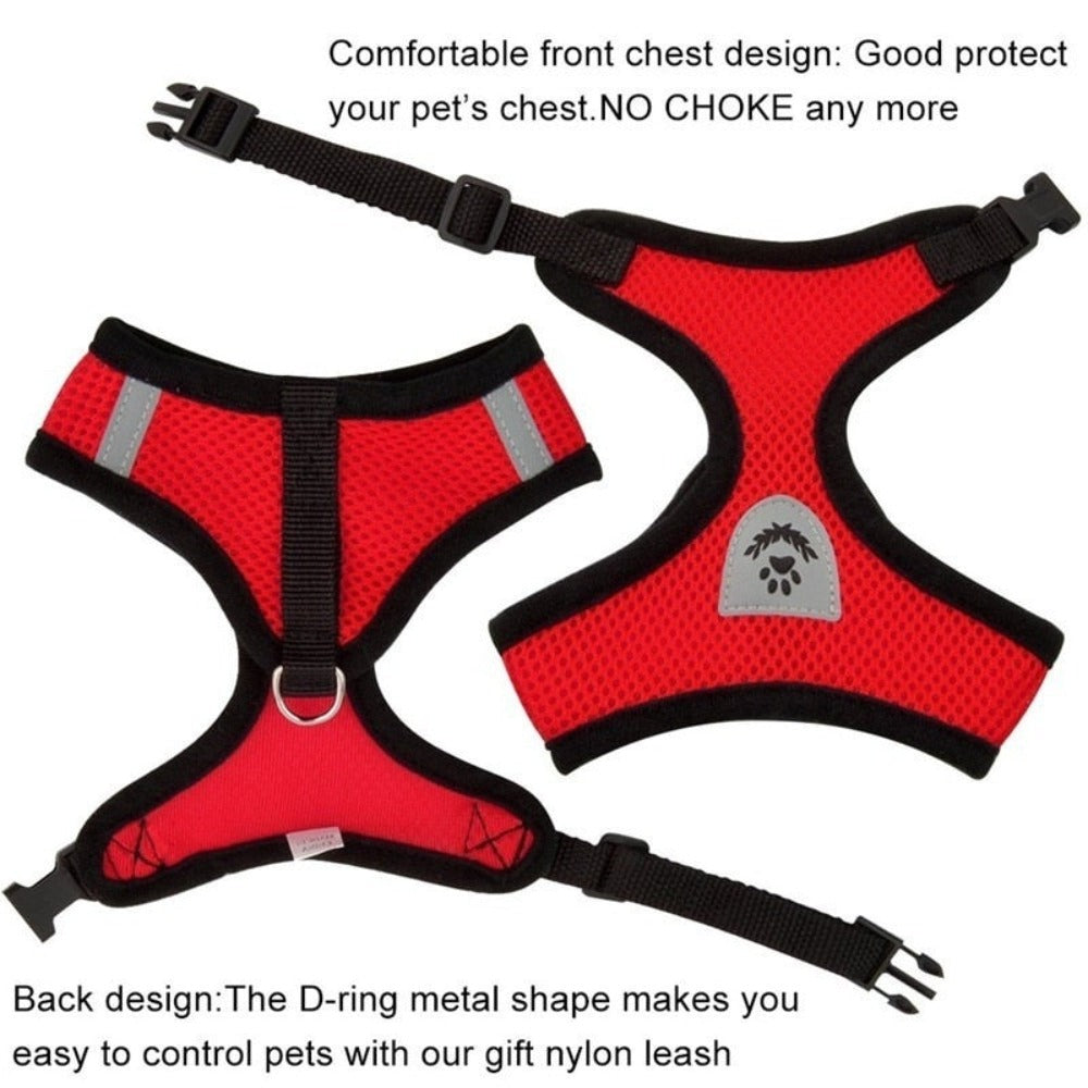 Adjustable Pet Harness with Leash: Ensuring Comfort and Control for Your Furry Friend