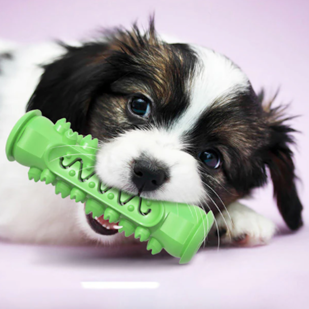 Two Tone Dog Chew Toy: Enhance Your Canine's Chewing Experience