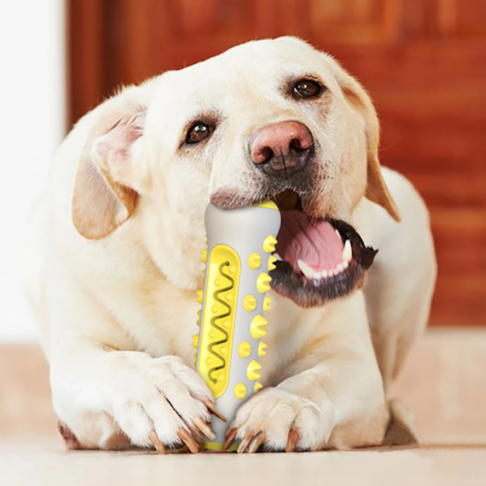 Two Tone Dog Chew Toy: Enhance Your Canine's Chewing Experience