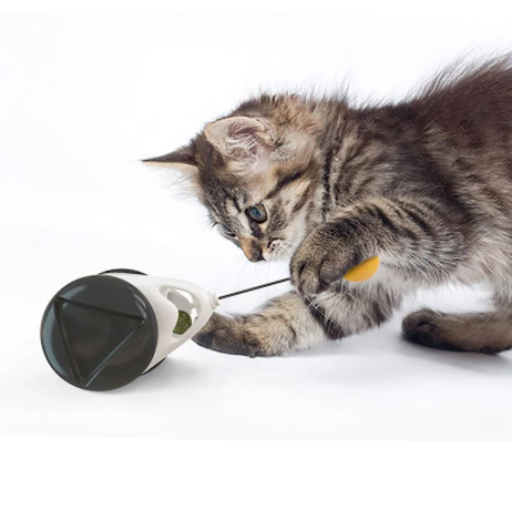Swinging Ball Cat Tumbler