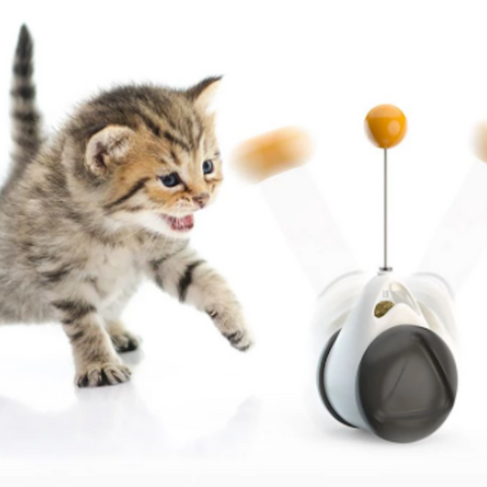 Swinging Ball Cat Tumbler