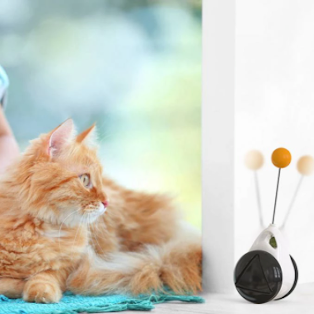 Swinging Ball Cat Tumbler