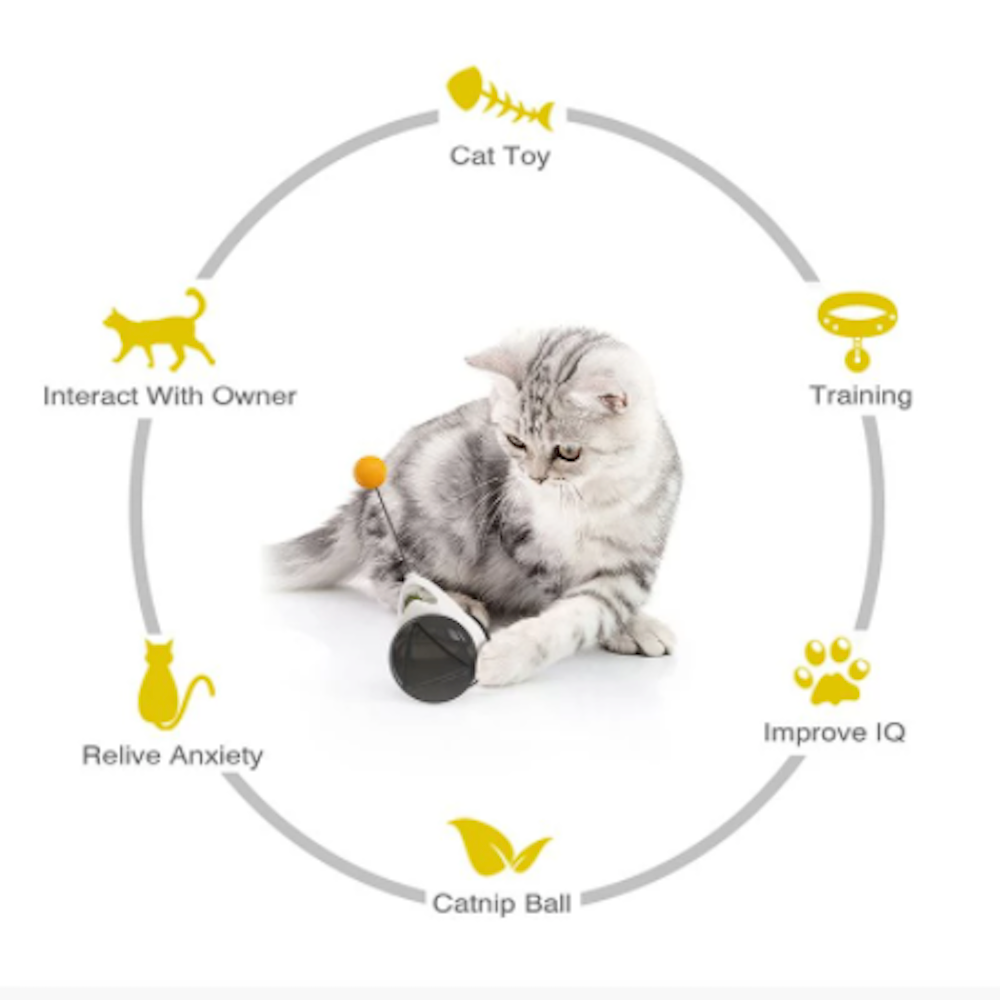 Swinging Ball Cat Tumbler