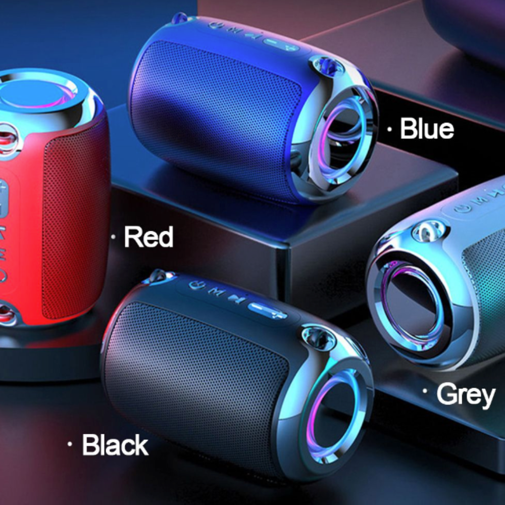 Portable Speaker with Powerful Bass - The Dragon