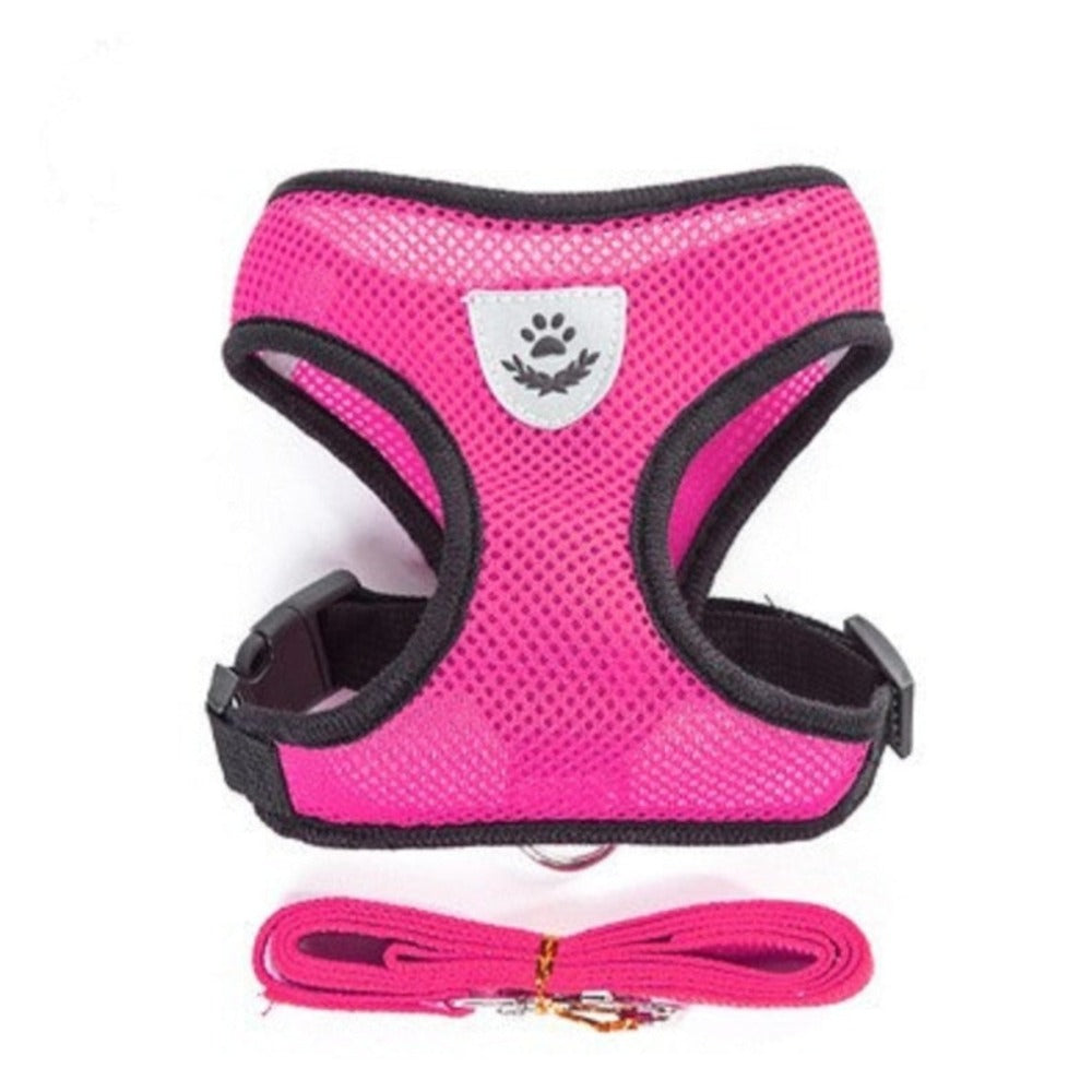 Adjustable Pet Harness with Leash: Ensuring Comfort and Control for Your Furry Friend