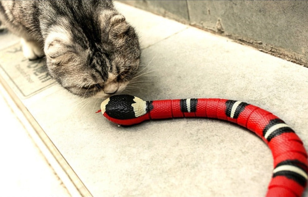 Snake Cat Toy - Electronic Entertainment for Feline Companions