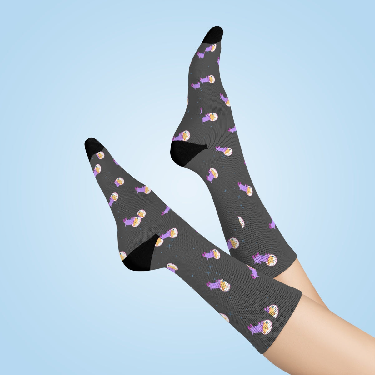 Space Adventure Dog Fun Socks