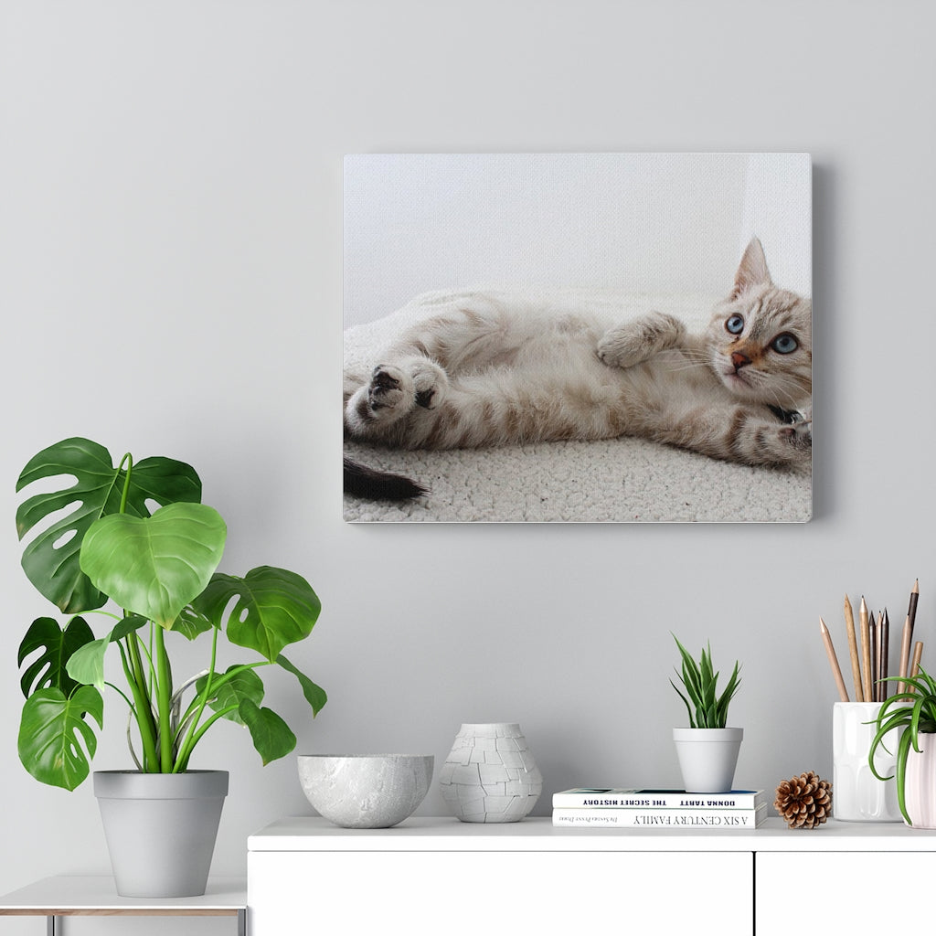 Charming Feline Canvas Wall Decor