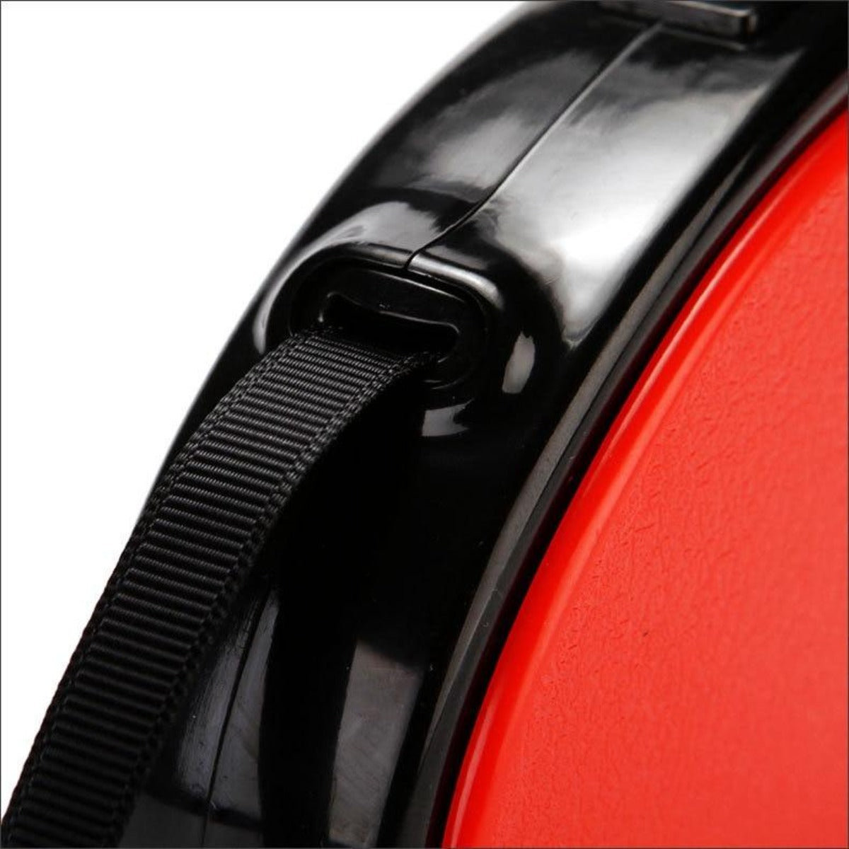 5-Meter Long Retractable Leash for Dogs made of Nylon