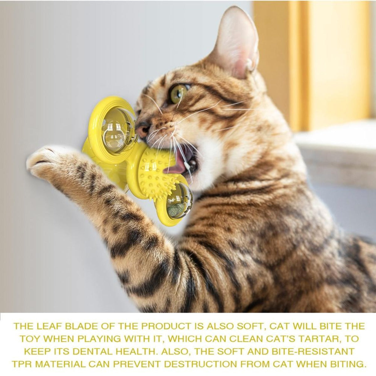 Whirling LED Balls for Cats