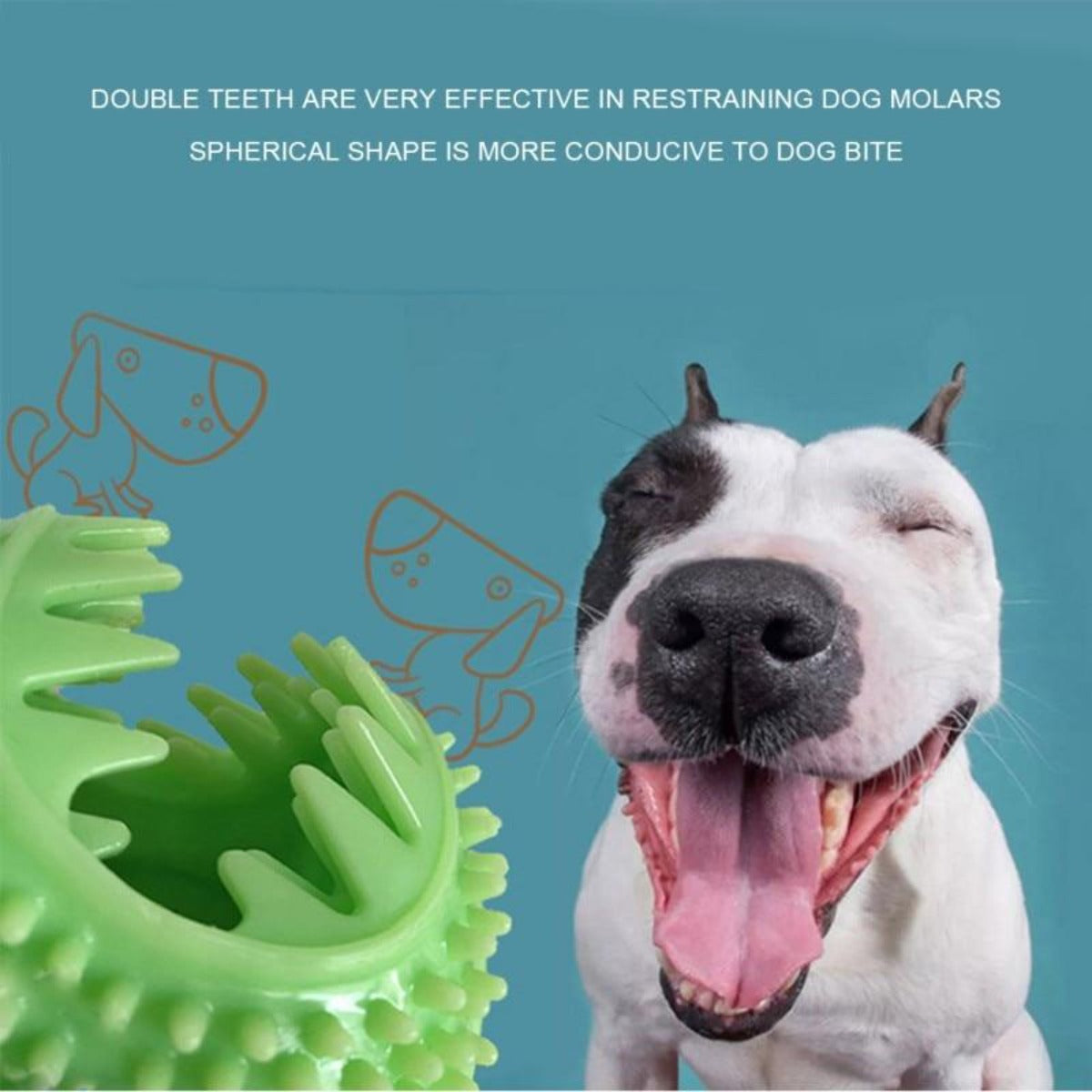 Suction Cup Dog Chew Toy