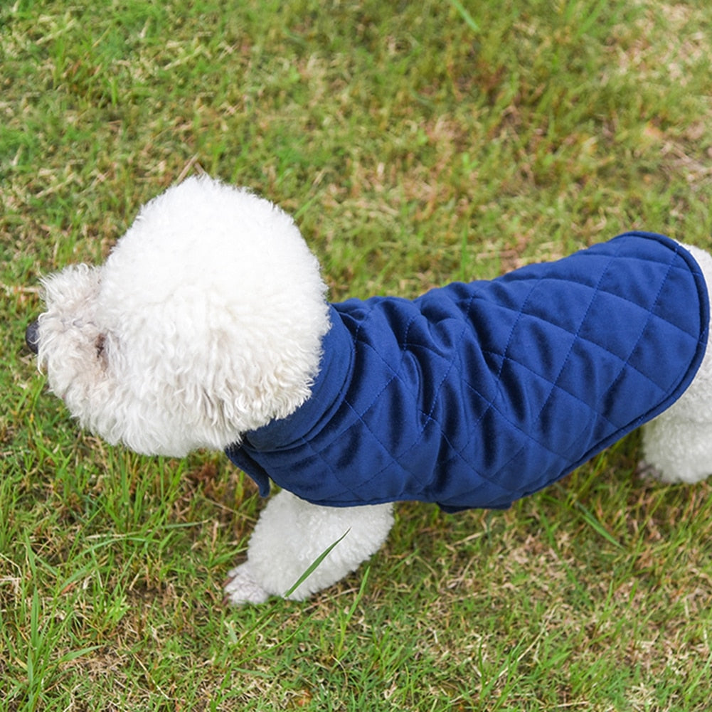 Winter Vest to Keep Dogs Cozy in Cold Weather