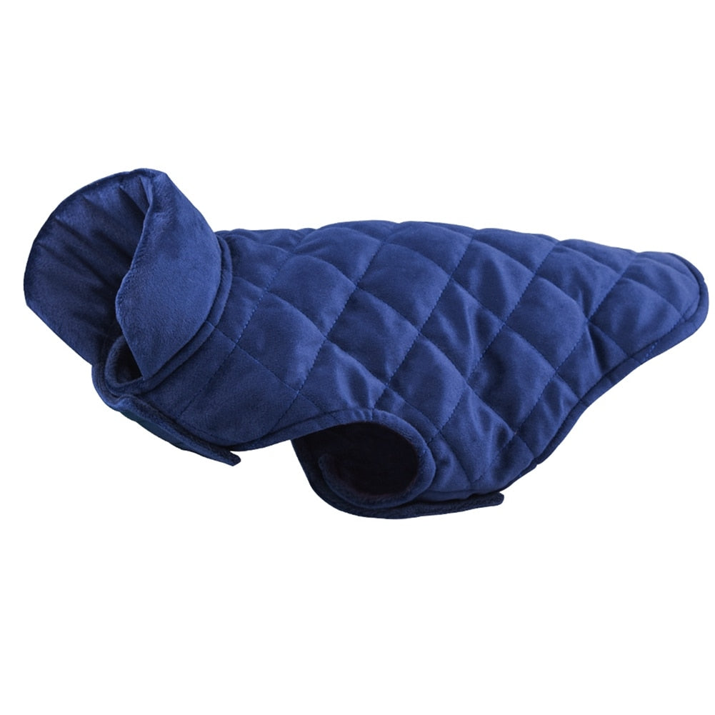 Winter Vest to Keep Dogs Cozy in Cold Weather