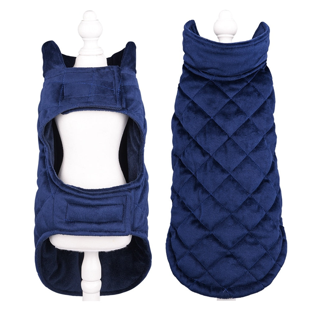 Winter Vest to Keep Dogs Cozy in Cold Weather