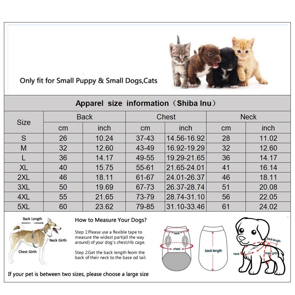 Winter Vest to Keep Dogs Cozy in Cold Weather