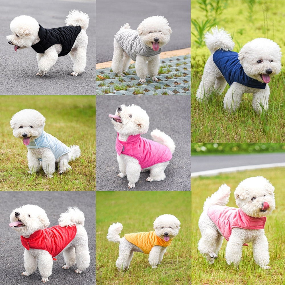Winter Vest to Keep Dogs Cozy in Cold Weather
