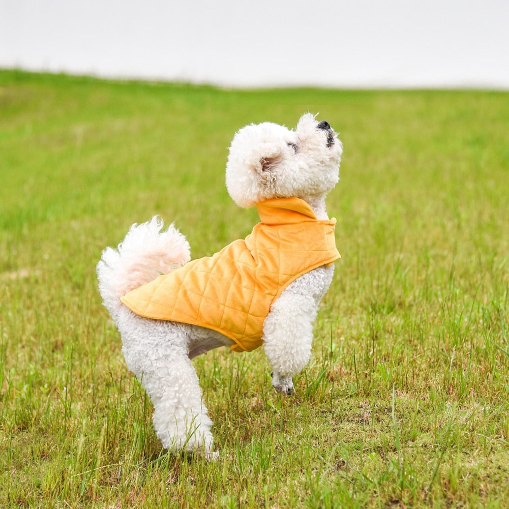 Winter Vest to Keep Dogs Cozy in Cold Weather