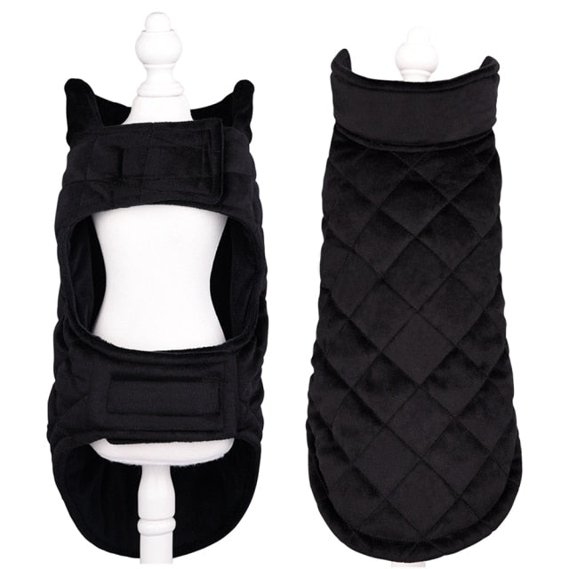 Winter Vest to Keep Dogs Cozy in Cold Weather