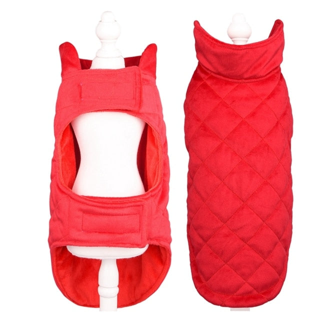 Winter Vest to Keep Dogs Cozy in Cold Weather