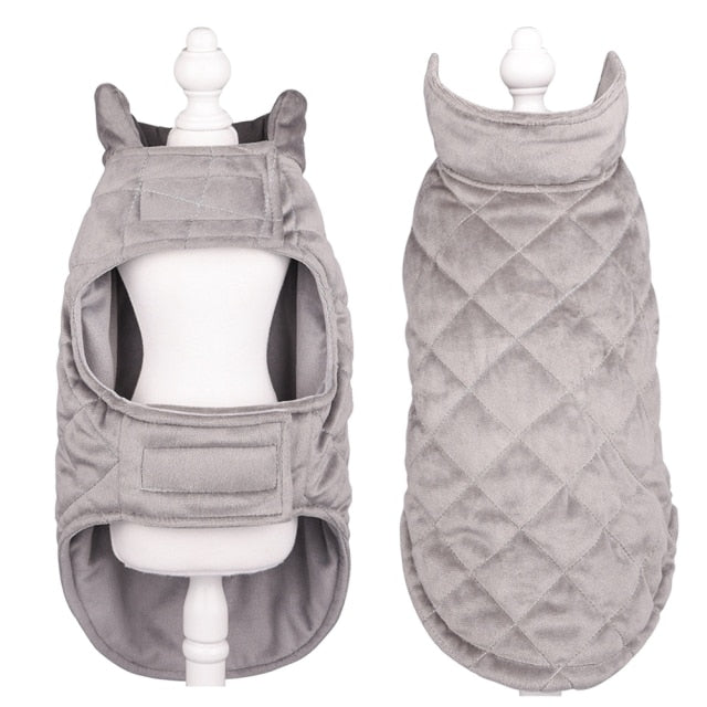 Winter Vest to Keep Dogs Cozy in Cold Weather