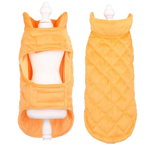 Winter Vest to Keep Dogs Cozy in Cold Weather