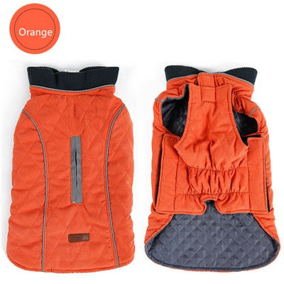 Winter Dog Puffer Vest: Keeping Your Canine Comfy in the Cold
