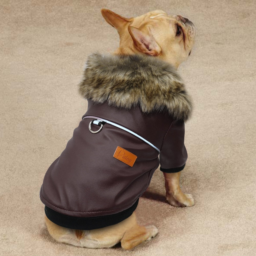 Water-Resistant Faux Leather Canine Jacket with Faux Fur Collar