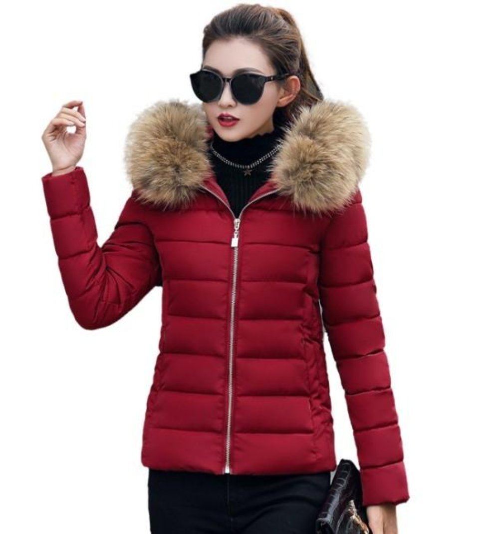 White Slim Fit Winter Hooded Short Zip-Up Jacket for Women