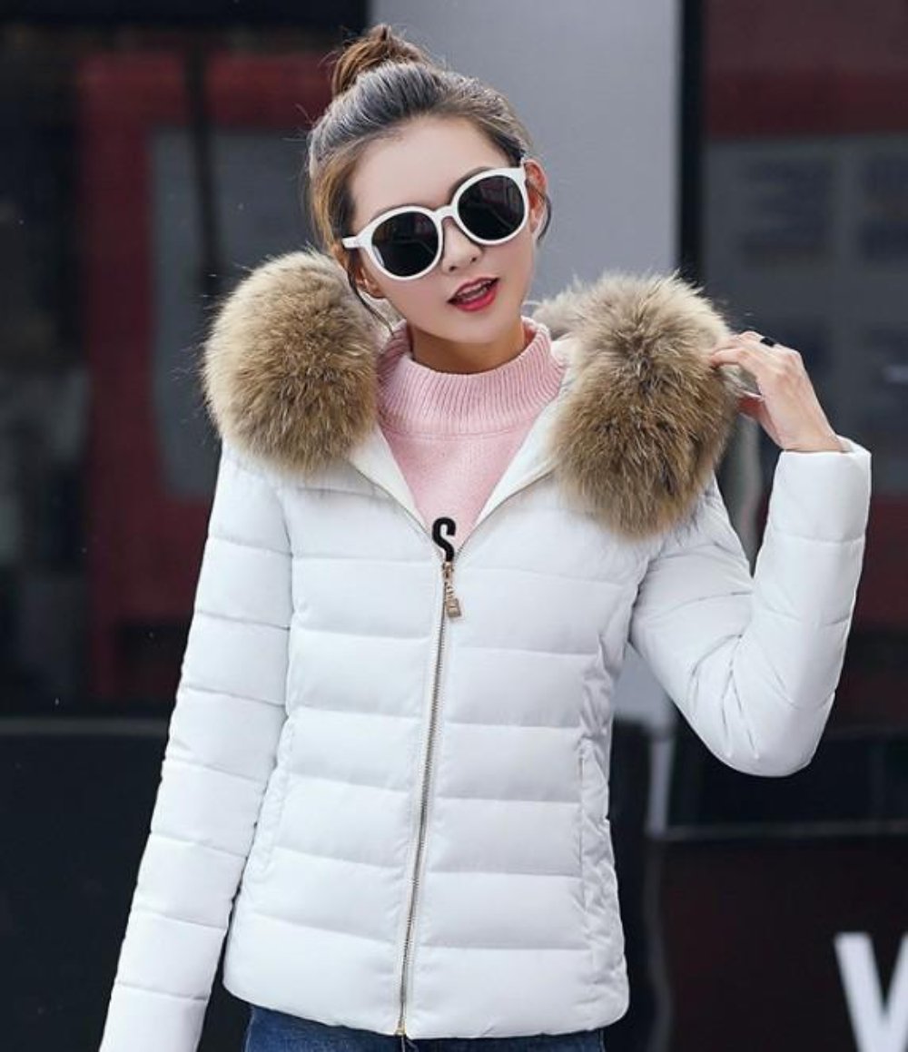 White Slim Fit Winter Hooded Short Zip-Up Jacket for Women