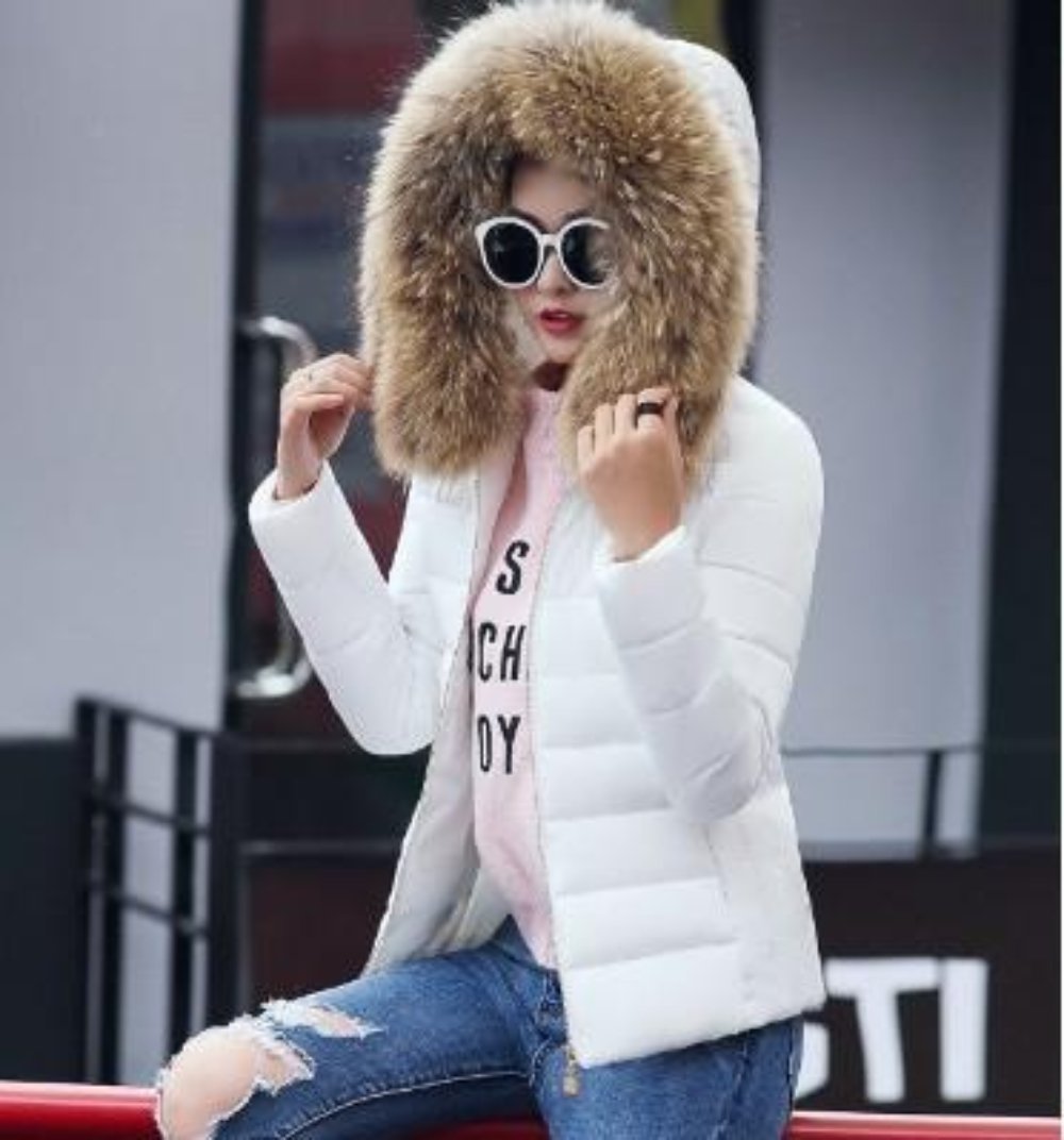 White Slim Fit Winter Hooded Short Zip-Up Jacket for Women