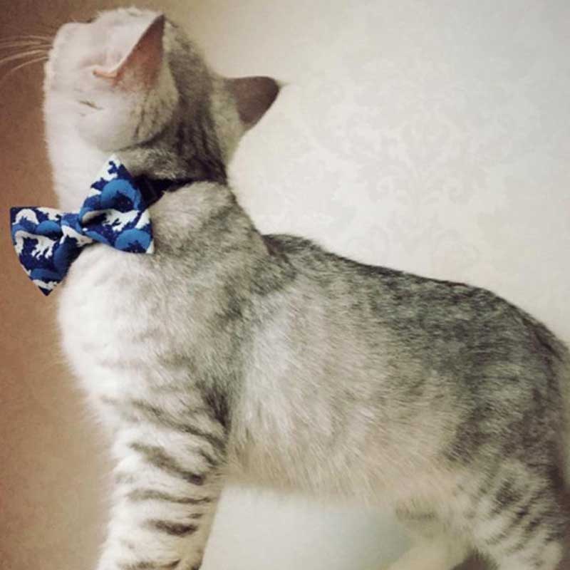 Cute Dog Bow Ties with Velvet Collar