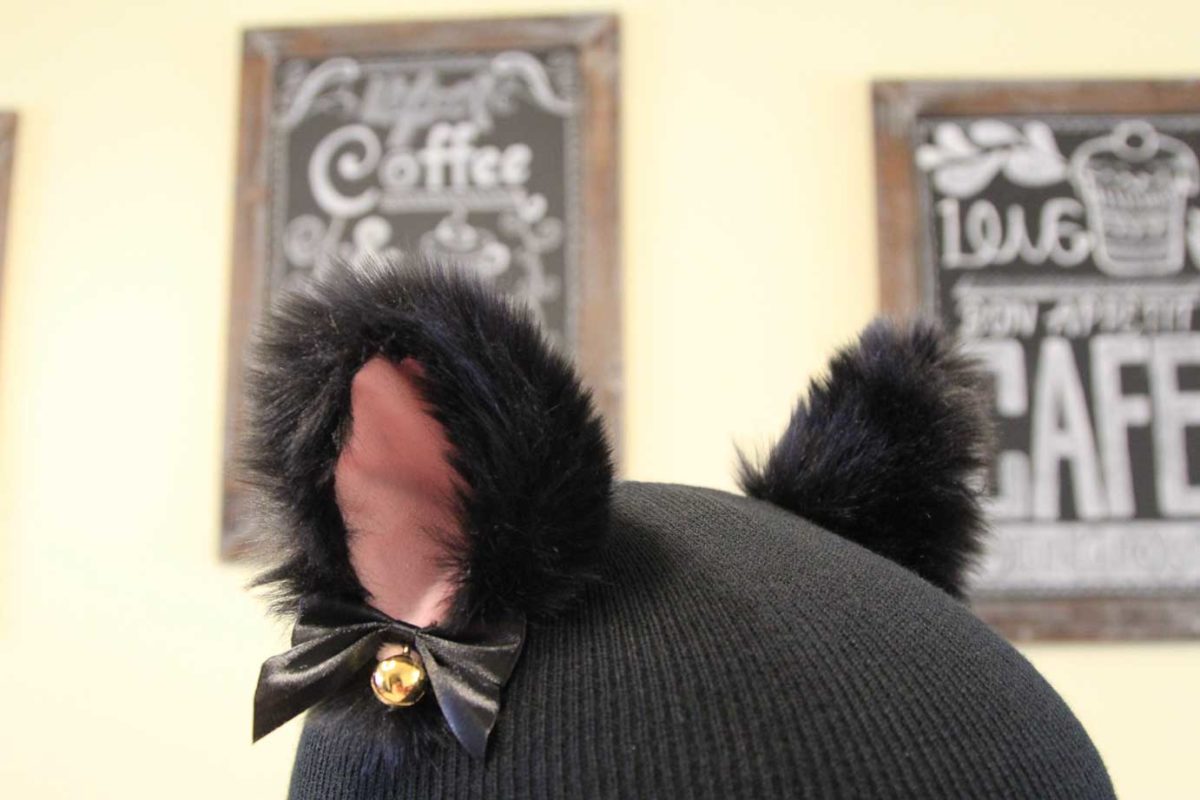 Helmet Rizz Animal Cover for Winter Sports