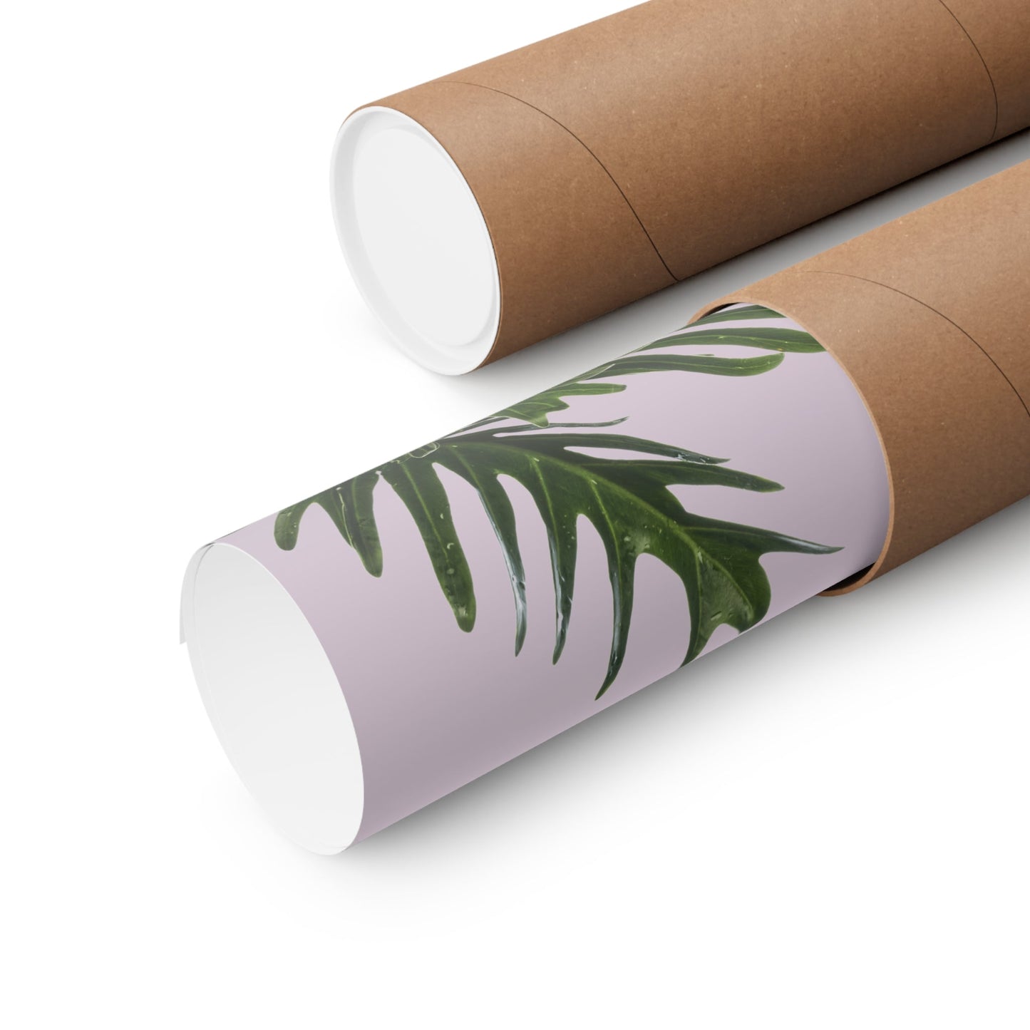 Pink Poster - Philodendron Delight