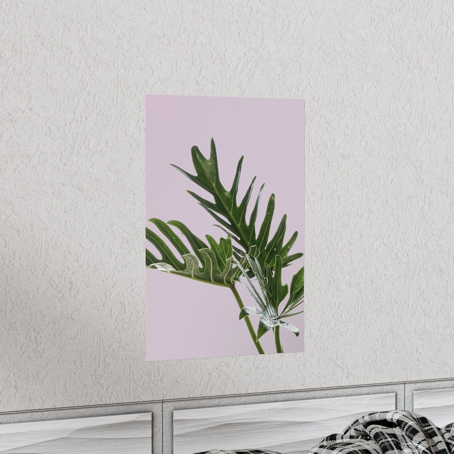 Pink Poster - Philodendron Delight