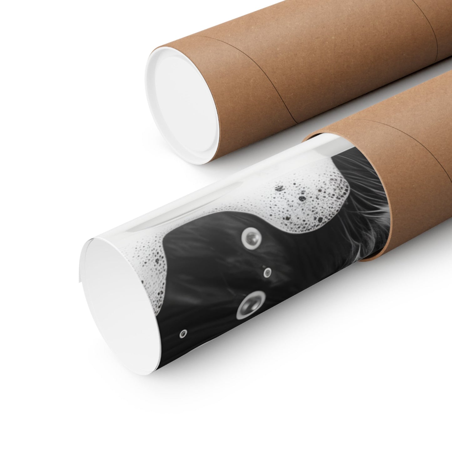 Bathroom Wall Art Print featuring Feline in Tub Decoration