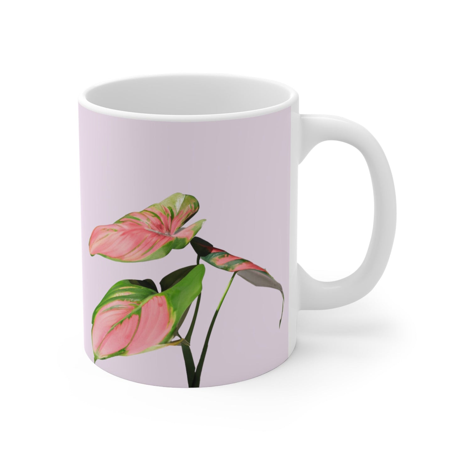 Pink Princess Philodendron Cup